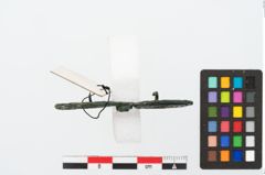 Foto von Bronzebrillenfibel (NHMW-PRAE-025584)